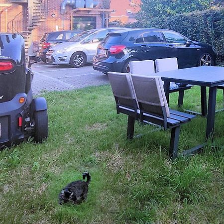Logeerkamer Xxl 25 M2 Zemst Exterior foto